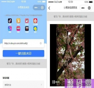 抖音去水印小程序源码 独立版 无后台