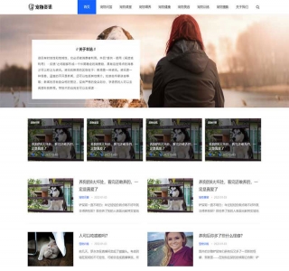 响应式宠物资讯类网站pbootcms模板源码