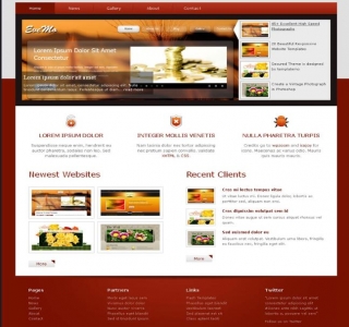 红色的IT互联网公司网站模板html整站下载_企业网站模板