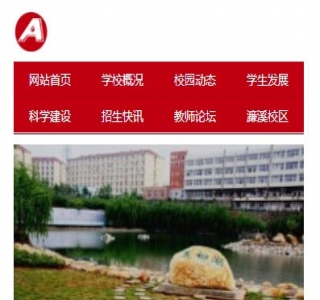 大学职业学院技术学校类网站源码-织梦dedecms模板