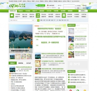 之绿色清新Discuz门户论坛模板
