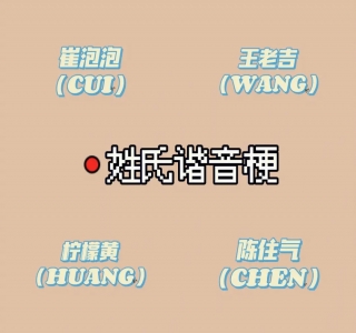 价值500多的情侣姓氏谐音梗项目(实操+软件+资料)