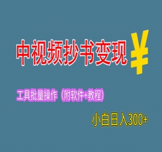 2024中视频抄书变现：特别适合新手操作的副业「附工具+教程」