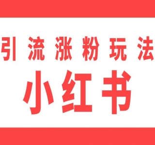小红书流量暴涨8个野路子玩法：小红书新人快速流量破局(8节课)