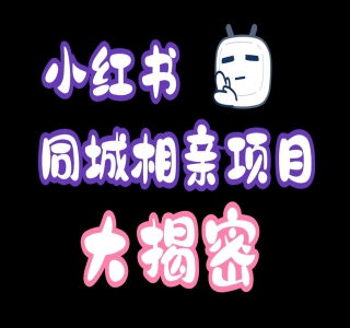 小红书同城相亲项目，一部手机0基础就可以做