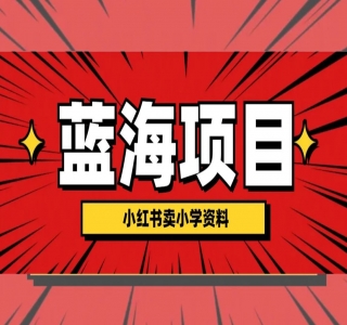 小红书卖小学资料，蓝海项目，红利期长，可月入过万