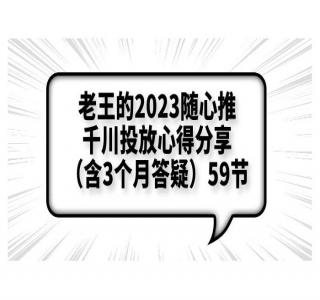 老王的2023年随心推 + 千川投放心得分享3个月答疑「59节」