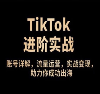 2024从0基础到精通进阶，TikTok账号运营到变现的全流程出海模式培训