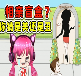 盲盒相亲新玩法：适合新手小白，一部手机可以做，轻松日入 500+