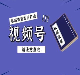 AI 情感流量主视频号 + 私域变现，玩法拆解，双重变现日入 1~3K