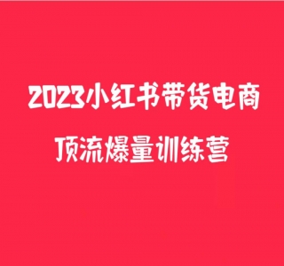 小红书电商爆量训练营，月入3W+!可复制的独家养生花茶系列玩法