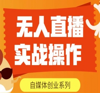 外面卖3980的无人直播项目(工具+素材+教程)